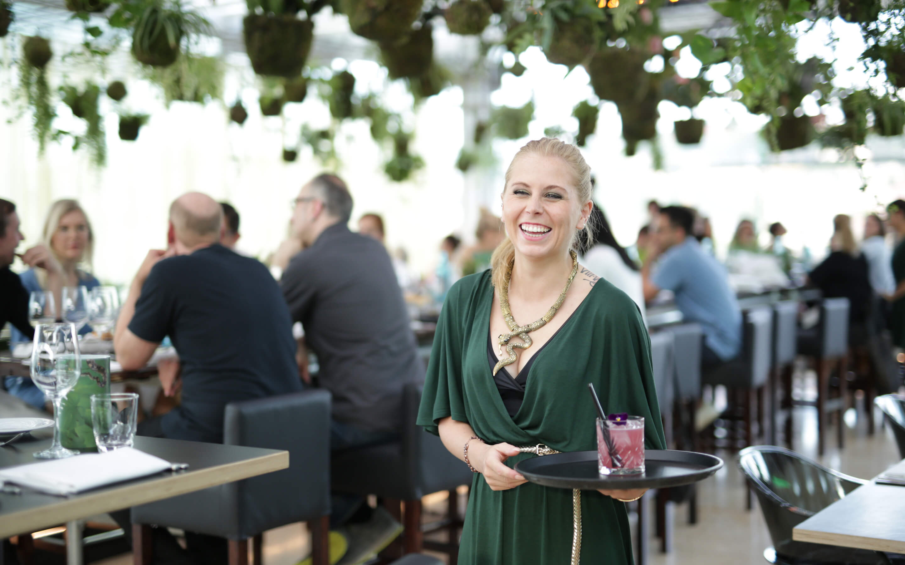 **Jobs** bei Rauschenberger