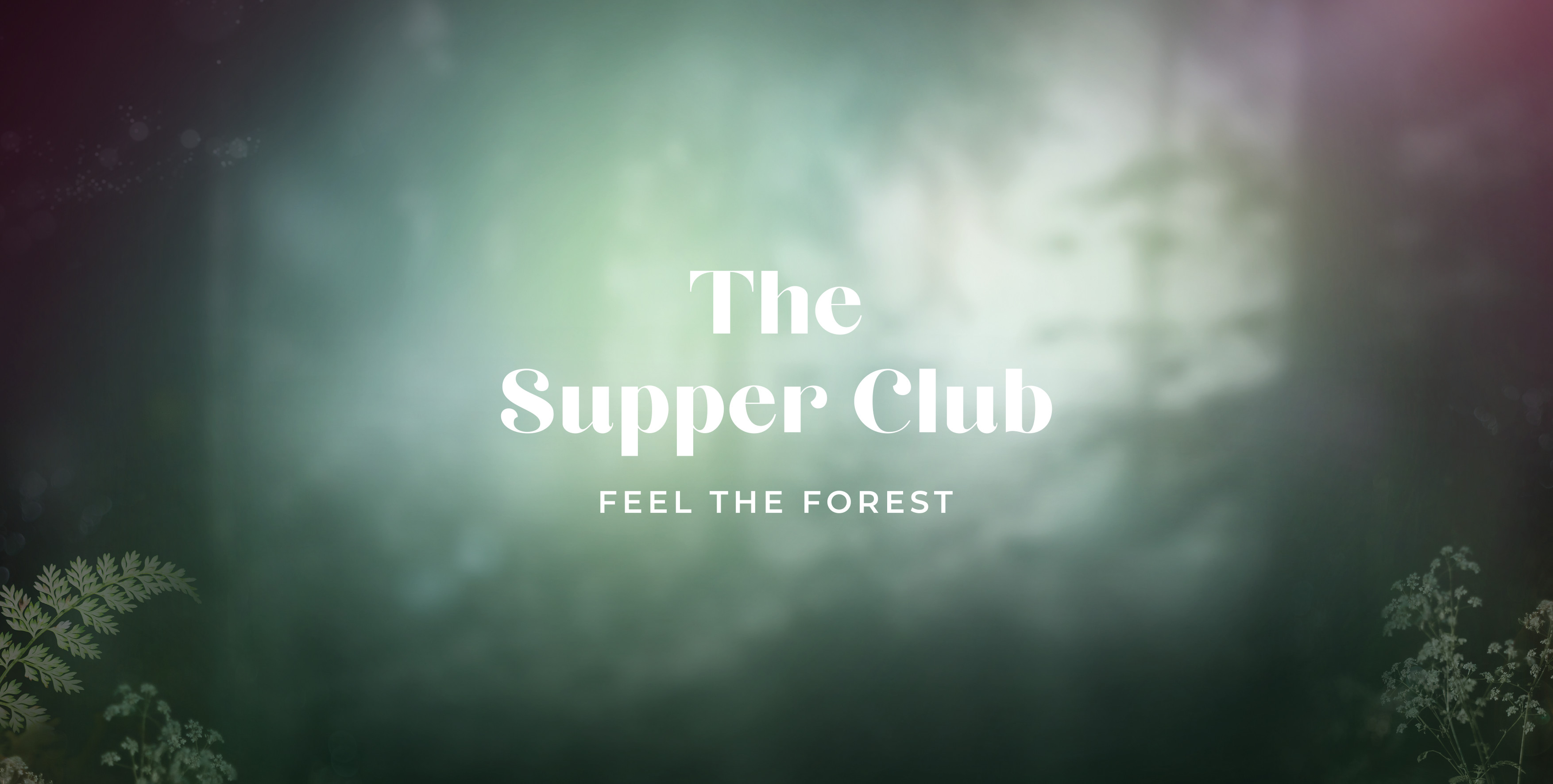 The Supper Club - Feel the Forest